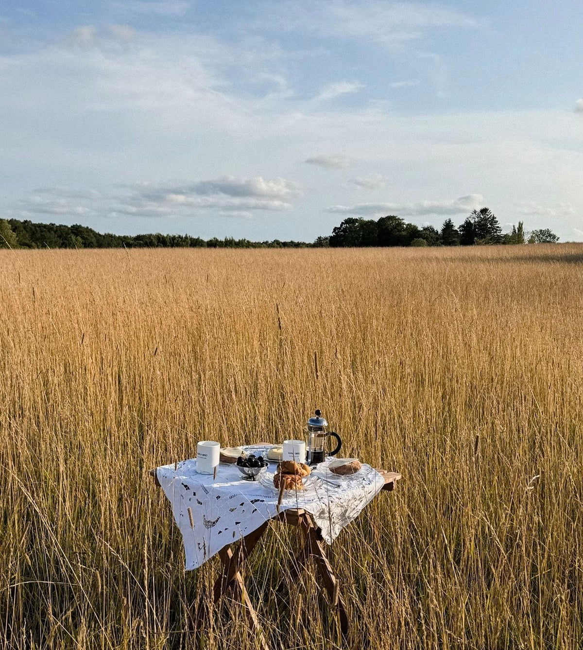 Fall Picnic