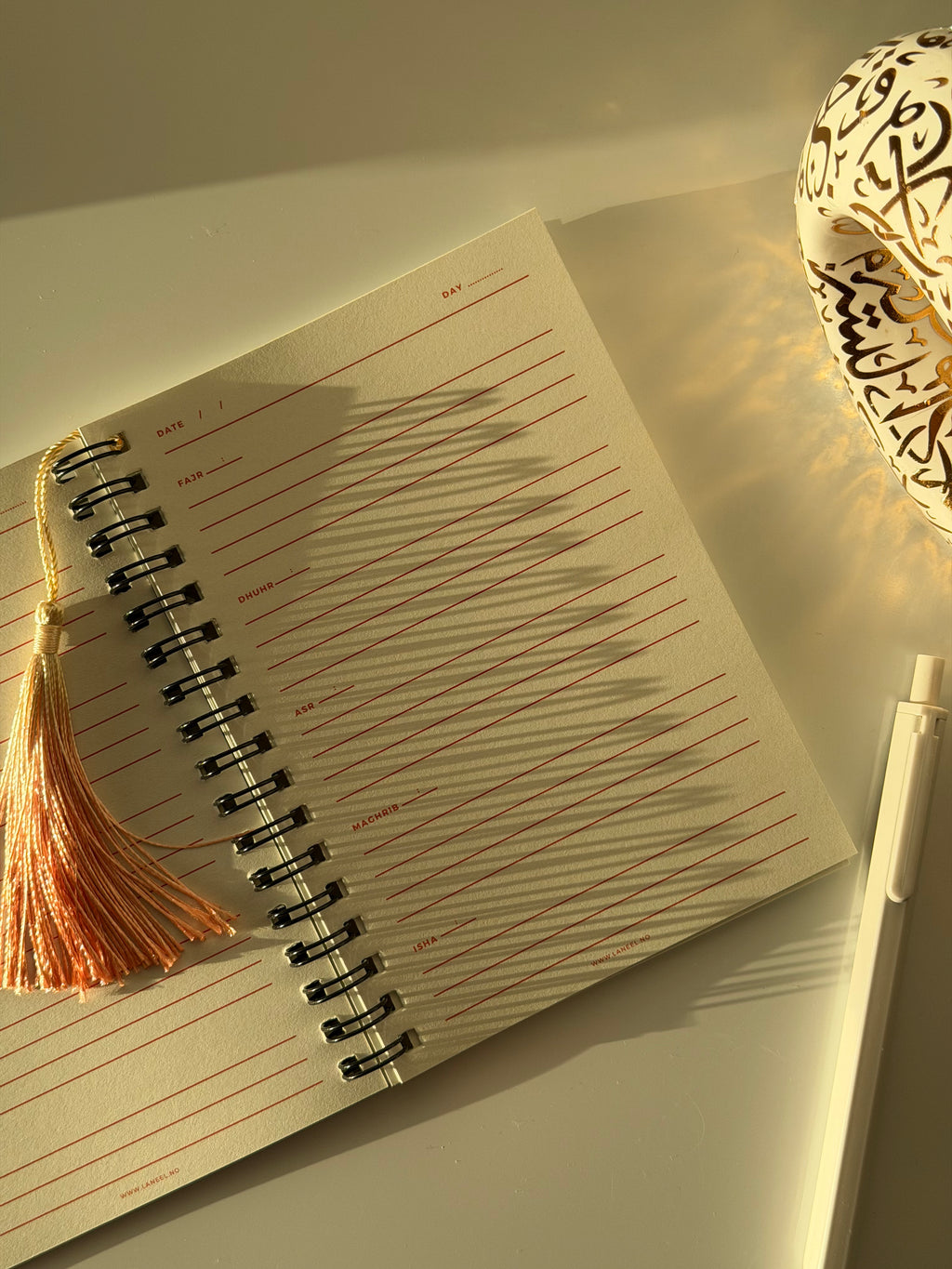 THOUGHTS THAT DISTRACT ME Prayer Focus Planner