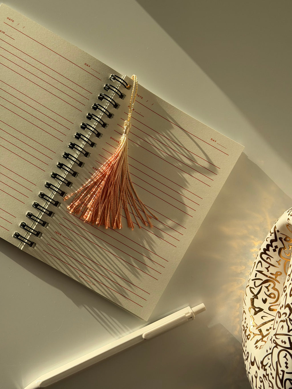 THOUGHTS THAT DISTRACT ME Prayer Focus Planner