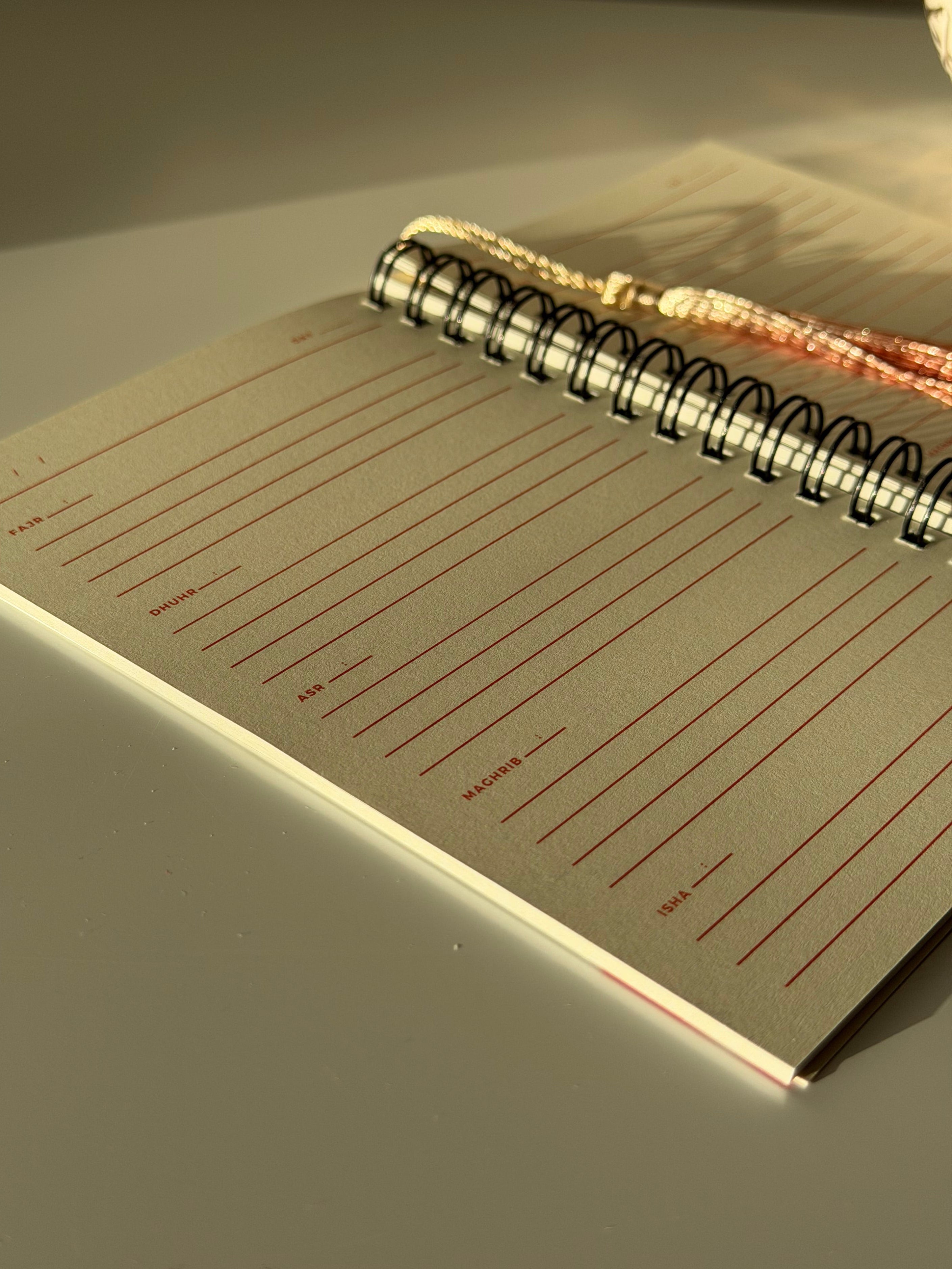 THOUGHTS THAT DISTRACT ME Prayer Focus Planner