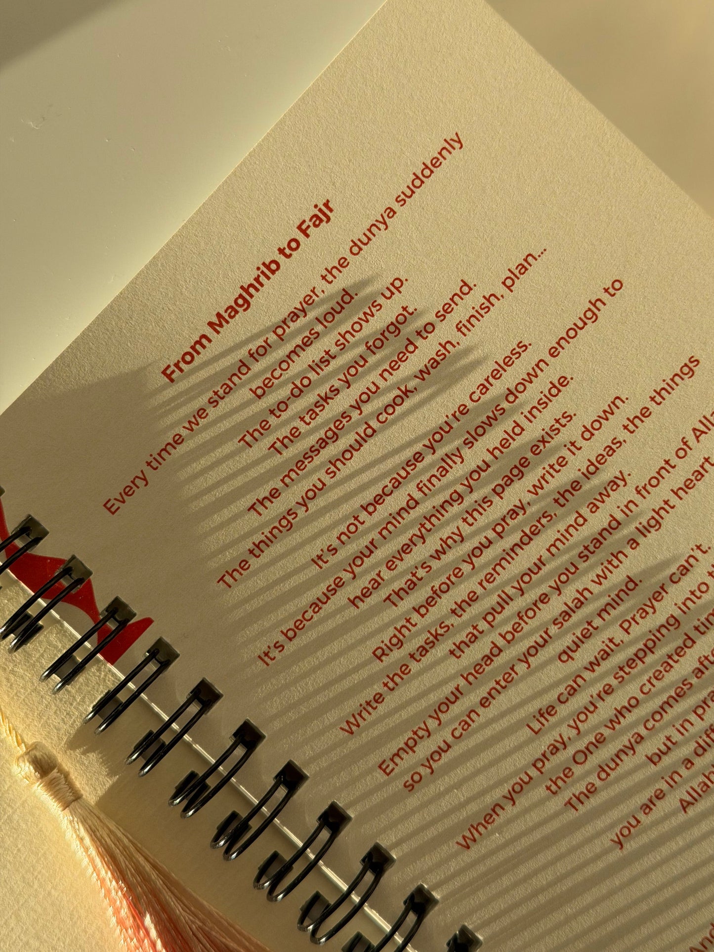 THOUGHTS THAT DISTRACT ME Prayer journal